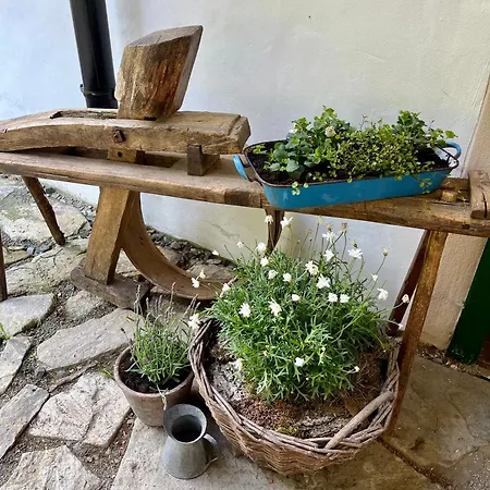 Na Stare Myslivne Malá Morava